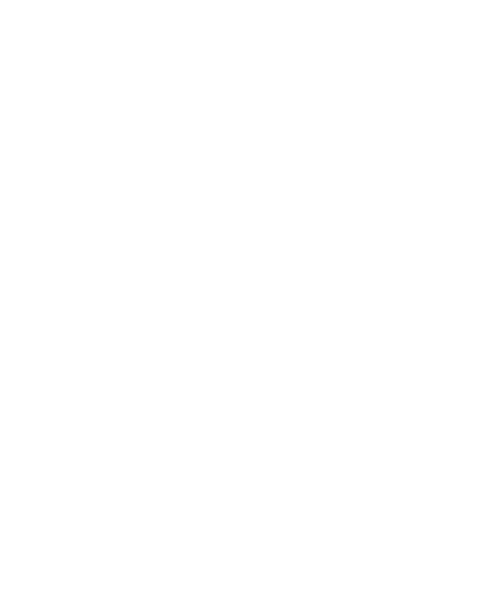 Lady 1st Nails logo